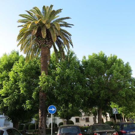 Patios De San Pedro Lägenhet Córdoba Exteriör bild